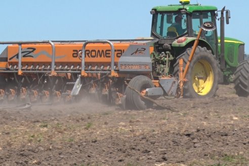 Marcelo Cattaneo - Productor Agropecuario - Siembra de Arroz en Colonia La Mora, Dpto. Villaguay