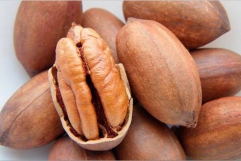 Recomiendan almacenar nueces en ambientes oscuros, a 2 grados y 65% de humedad