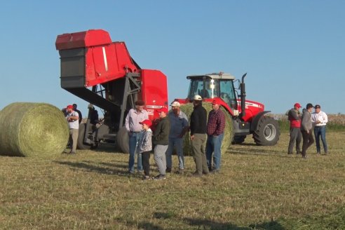 Vibrante dinámica forrajera en campos de Valle María