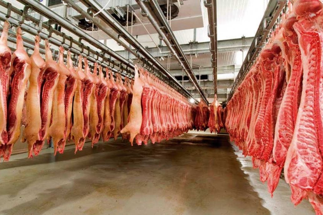 Se prevé que el consumo nacional de este año ronde los 22,5 kilos por persona. Se prevé que el consumo nacional de este año ronde los 22,5 kilos por persona.