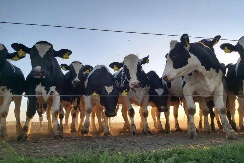 Lechería circular: producir con eficiencia y sostenibilidad se puede