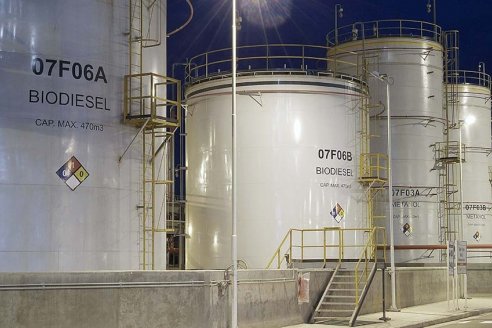 Reglamentaron la producción de biocombustibles