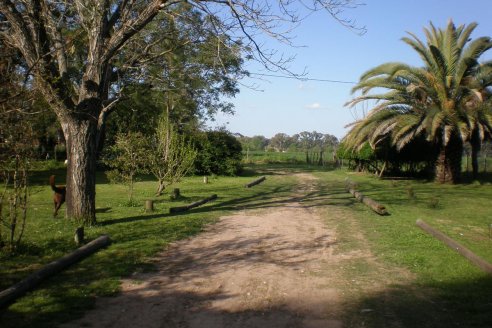 En septiembre mejoró la compraventa de campos