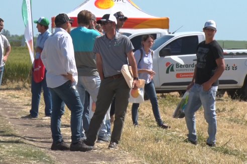 En Urdinarrain se dejaron ver trigales de alto voltaje - Jornada a Campo de Berardo Agropecuaria