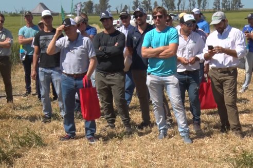 En Urdinarrain se dejaron ver trigales de alto voltaje - Jornada a Campo de Berardo Agropecuaria