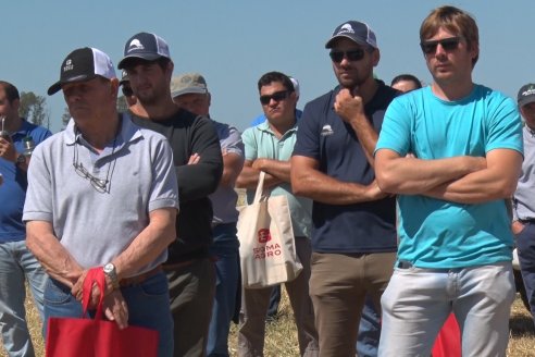 En Urdinarrain se dejaron ver trigales de alto voltaje - Jornada a Campo de Berardo Agropecuaria