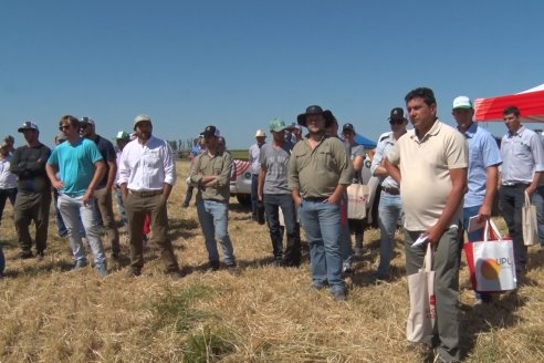 En Urdinarrain se dejaron ver trigales de alto voltaje - Jornada a Campo de Berardo Agropecuaria