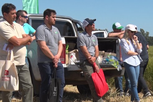 En Urdinarrain se dejaron ver trigales de alto voltaje - Jornada a Campo de Berardo Agropecuaria