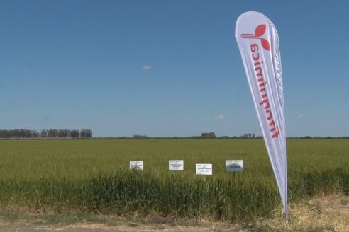 En Urdinarrain se dejaron ver trigales de alto voltaje - Jornada a Campo de Berardo Agropecuaria