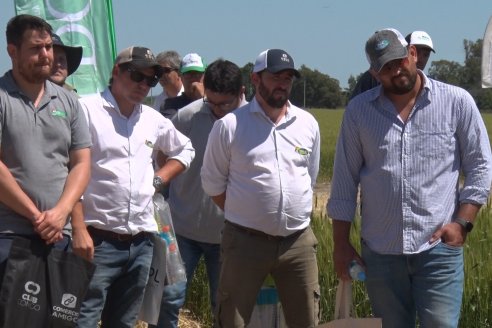 En Urdinarrain se dejaron ver trigales de alto voltaje - Jornada a Campo de Berardo Agropecuaria