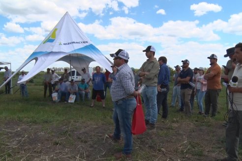 En Urdinarrain se dejaron ver trigales de alto voltaje - Jornada a Campo de Berardo Agropecuaria