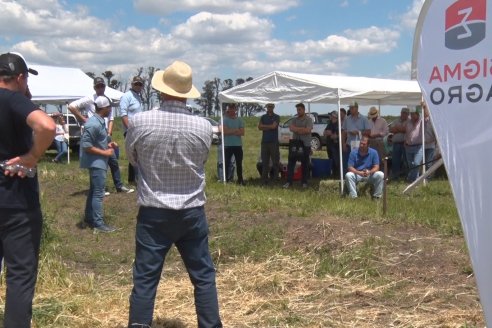 En Urdinarrain se dejaron ver trigales de alto voltaje - Jornada a Campo de Berardo Agropecuaria