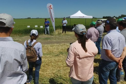 En Urdinarrain se dejaron ver trigales de alto voltaje - Jornada a Campo de Berardo Agropecuaria