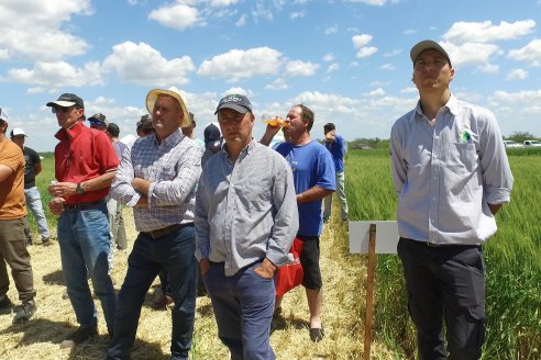 En Urdinarrain se dejaron ver trigales de alto voltaje - Jornada a Campo de Berardo Agropecuaria