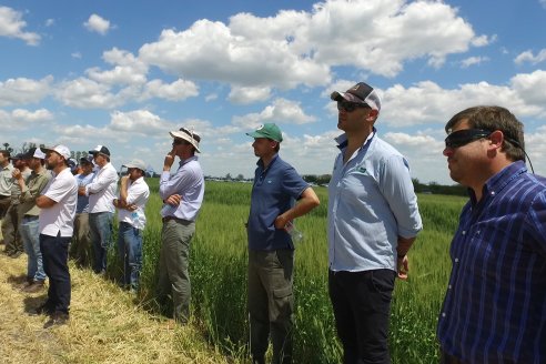 En Urdinarrain se dejaron ver trigales de alto voltaje - Jornada a Campo de Berardo Agropecuaria