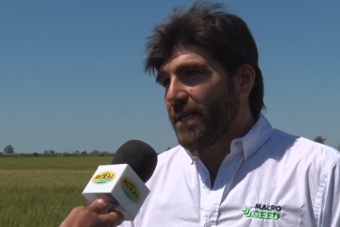 En Urdinarrain se dejaron ver trigales de alto voltaje - Jornada a Campo de Berardo Agropecuaria