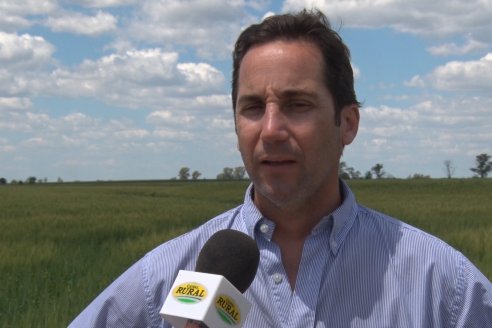 En Urdinarrain se dejaron ver trigales de alto voltaje - Jornada a Campo de Berardo Agropecuaria