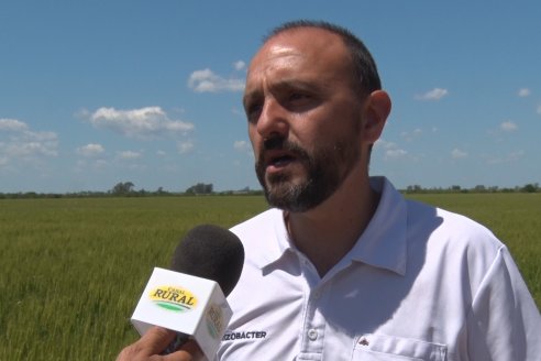 En Urdinarrain se dejaron ver trigales de alto voltaje - Jornada a Campo de Berardo Agropecuaria