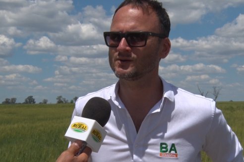 En Urdinarrain se dejaron ver trigales de alto voltaje - Jornada a Campo de Berardo Agropecuaria