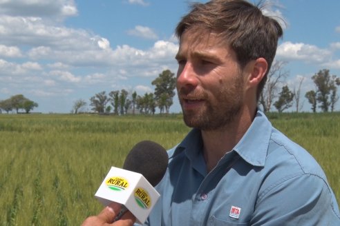 En Urdinarrain se dejaron ver trigales de alto voltaje - Jornada a Campo de Berardo Agropecuaria