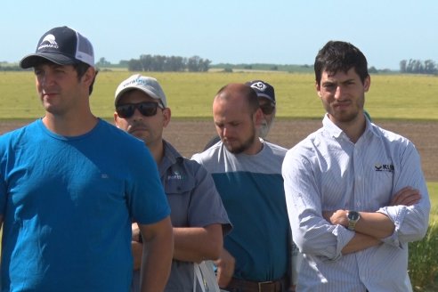 Ensayo Comparativo de Trigo Granero SRL en Campo La Querencia - Departamento Victoria