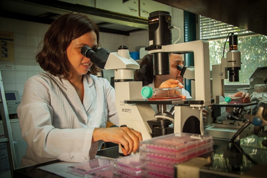 Aldana Vissani, investigadora del laboratorio del dedicado a paliar el flagelo.