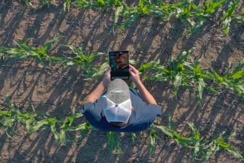 NK inicia su primer serie &ldquo;Manejo Específico NK&rdquo;