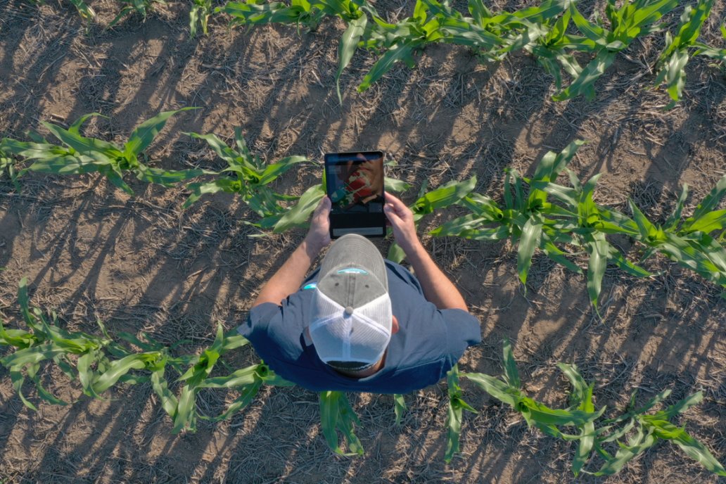 NK inicia su primer serie &ldquo;Manejo Específico NK&rdquo;