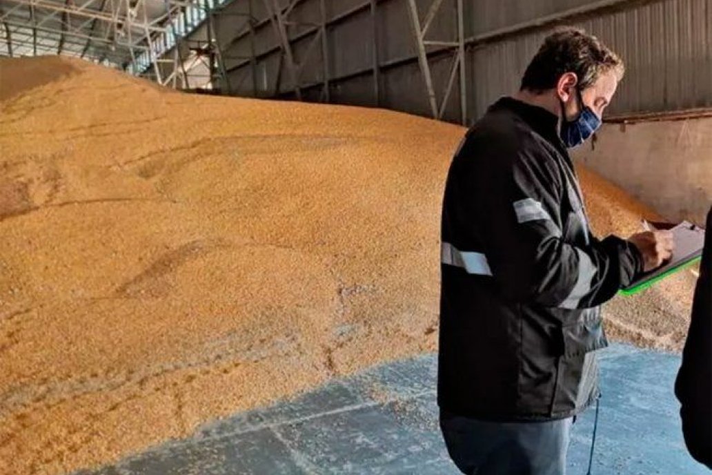 La carga ilegal pretendía ingresar a Uruguay, estaba en puerto de Campana.