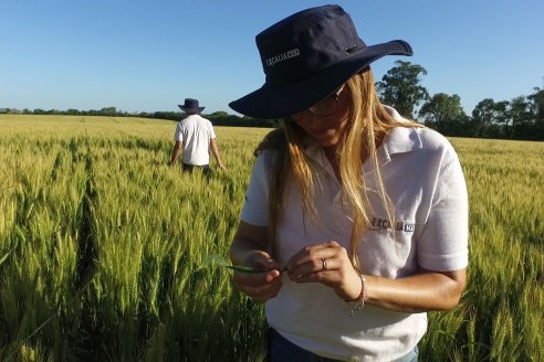 Presentaron "la nueva revolución" para el control de enfermedades