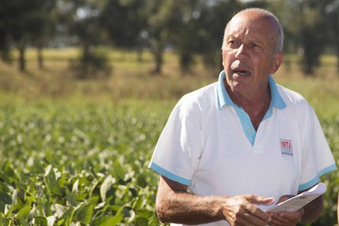 Ventajas de la inoculación en la agricultura modera