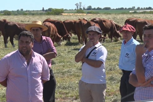 2da. Reunión Regional Braford Litoral - Estancia La Matilda -  Maciá, Entre Ríos