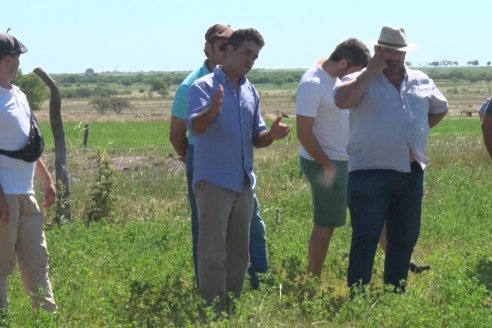 2da. Reunión Regional Braford Litoral - Estancia La Matilda -  Maciá, Entre Ríos