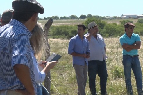 2da. Reunión Regional Braford Litoral - Estancia La Matilda -  Maciá, Entre Ríos