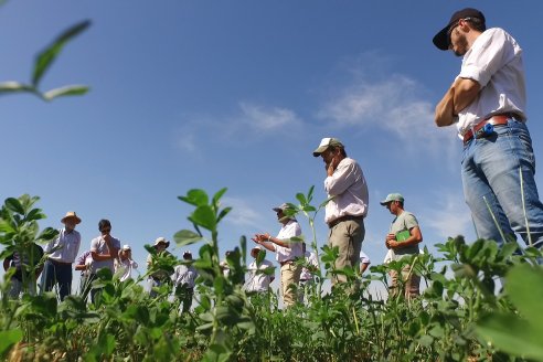 La Nueva Trinidad se llenó de curiosos en saber más de pasto