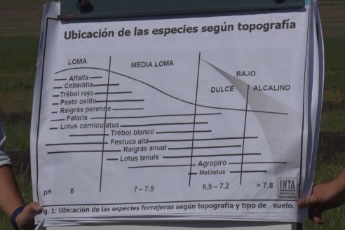 Jornada Técnica de Pasturas GENTOS en La Nueva Trinidad - Mansilla - Entre Ríos