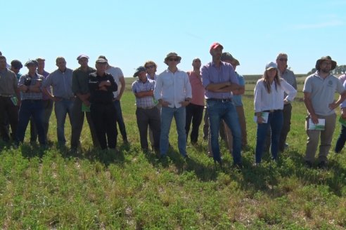 Jornada Técnica de Pasturas GENTOS en La Nueva Trinidad - Mansilla - Entre Ríos