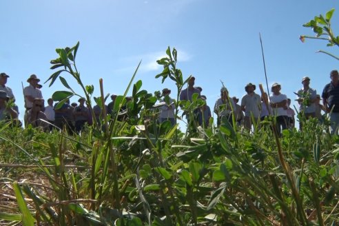 Jornada Técnica de Pasturas GENTOS en La Nueva Trinidad - Mansilla - Entre Ríos