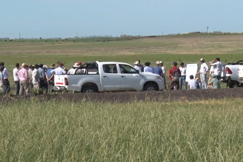 Jornada Técnica de Pasturas GENTOS en La Nueva Trinidad - Mansilla - Entre Ríos