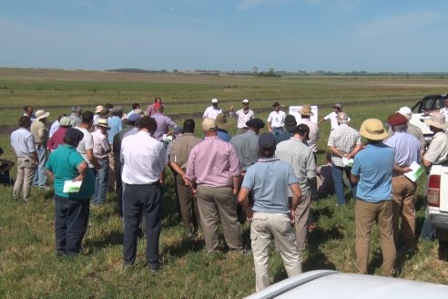 Jornada Técnica de Pasturas GENTOS en La Nueva Trinidad - Mansilla - Entre Ríos