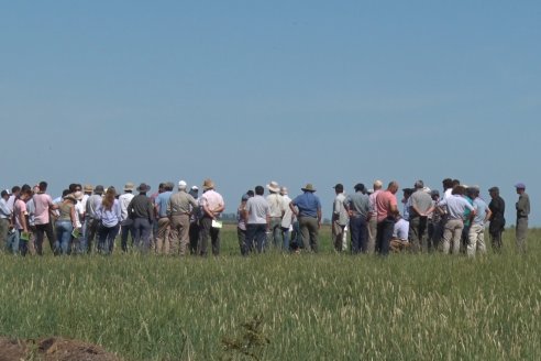 Jornada Técnica de Pasturas GENTOS en La Nueva Trinidad - Mansilla - Entre Ríos