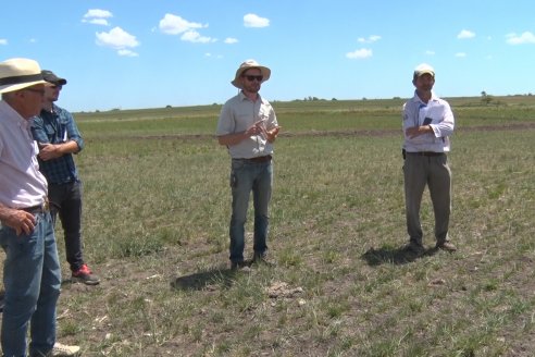 Jornada Técnica de Pasturas GENTOS en La Nueva Trinidad - Mansilla - Entre Ríos