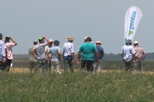 Jornada Técnica de Pasturas GENTOS en La Nueva Trinidad - Mansilla - Entre Ríos