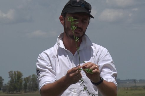 Jornada Técnica de Pasturas GENTOS en La Nueva Trinidad - Mansilla - Entre Ríos