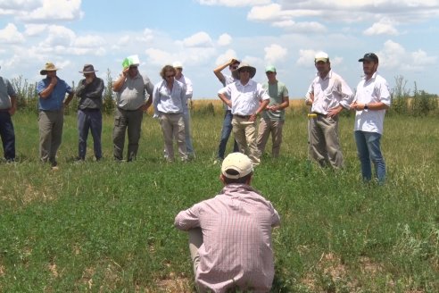 Jornada Técnica de Pasturas GENTOS en La Nueva Trinidad - Mansilla - Entre Ríos