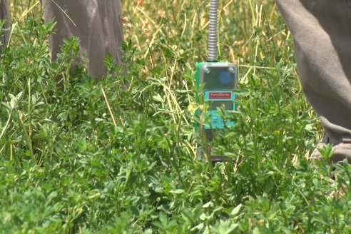 Jornada Técnica de Pasturas GENTOS en La Nueva Trinidad - Mansilla - Entre Ríos