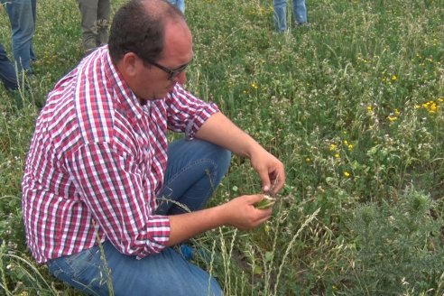 Jornada Técnica de Pasturas GENTOS en La Nueva Trinidad - Mansilla - Entre Ríos