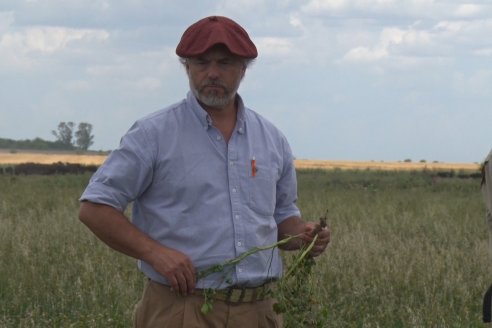 Jornada Técnica de Pasturas GENTOS en La Nueva Trinidad - Mansilla - Entre Ríos