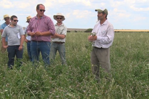 Jornada Técnica de Pasturas GENTOS en La Nueva Trinidad - Mansilla - Entre Ríos