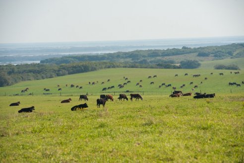 Meten los datos económicos para tomar decisiones en una aplicación